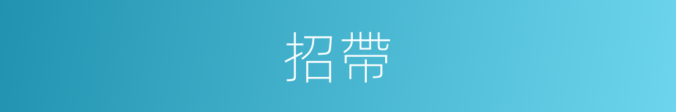 招帶的同義詞