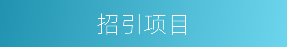 招引项目的同义词