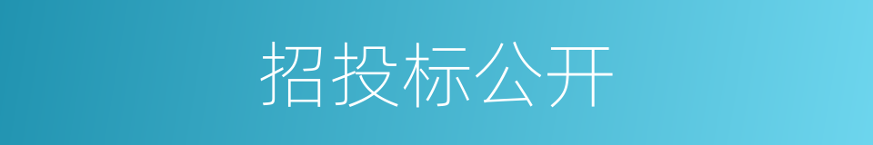 招投标公开的同义词