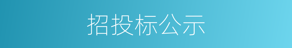 招投标公示的同义词