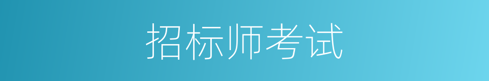 招标师考试的同义词