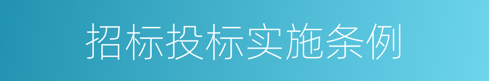 招标投标实施条例的同义词