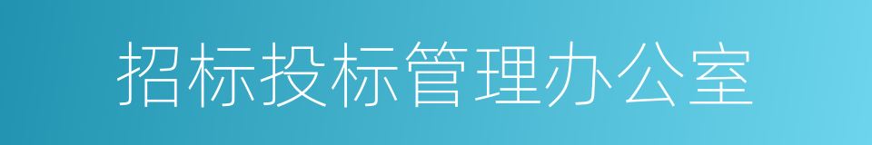 招标投标管理办公室的同义词