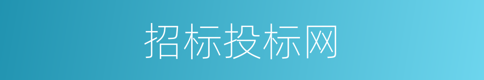招标投标网的同义词