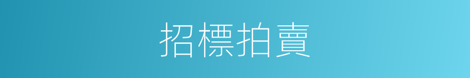 招標拍賣的同義詞