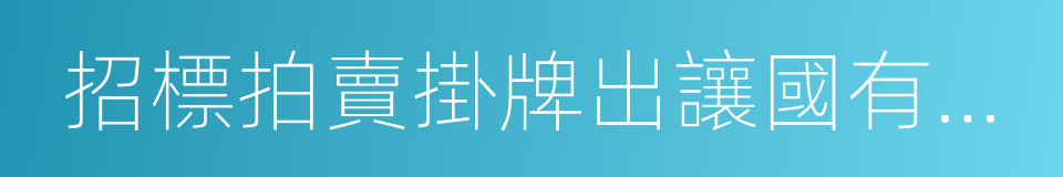 招標拍賣掛牌出讓國有建設用地使用權規定的同義詞