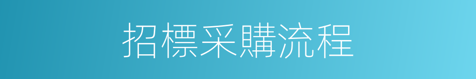 招標采購流程的同義詞