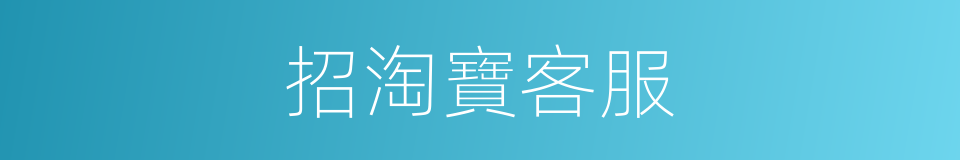 招淘寶客服的同義詞