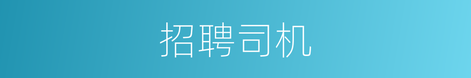 招聘司机的同义词