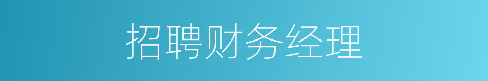 招聘财务经理的同义词