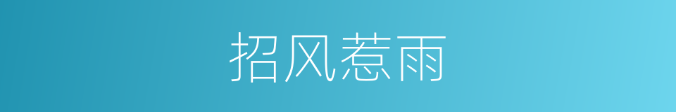 招风惹雨的意思