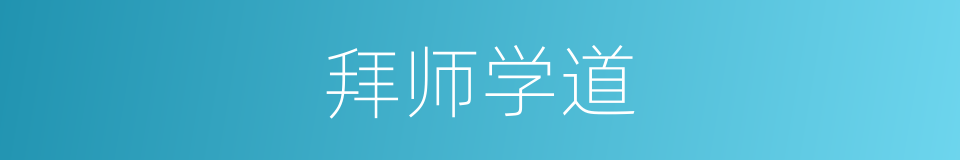 拜师学道的同义词