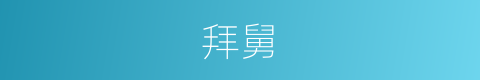 拜舅的同义词