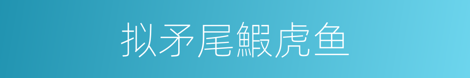 拟矛尾鰕虎鱼的同义词