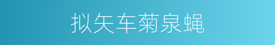 拟矢车菊泉蝇的同义词