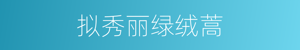 拟秀丽绿绒蒿的同义词