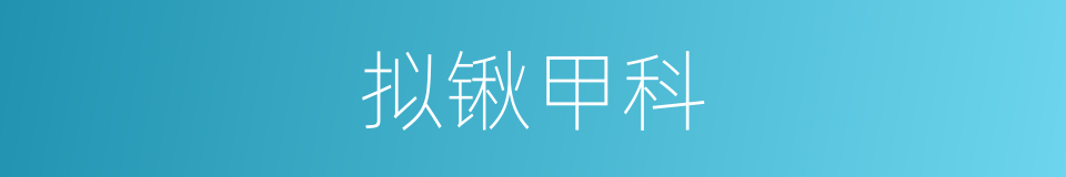 拟锹甲科的同义词