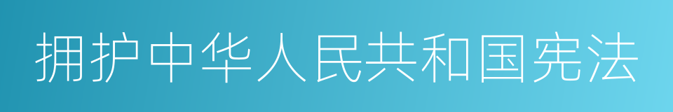 拥护中华人民共和国宪法的同义词