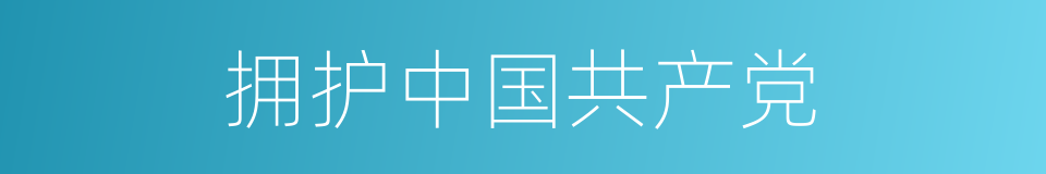拥护中国共产党的同义词