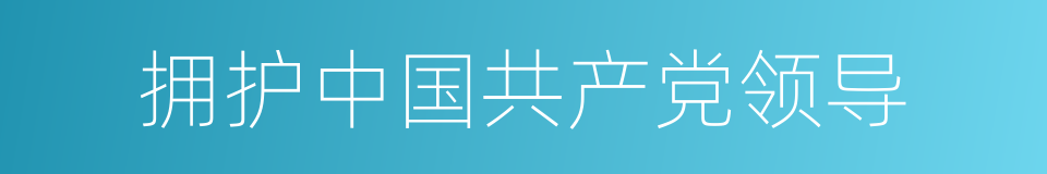 拥护中国共产党领导的同义词