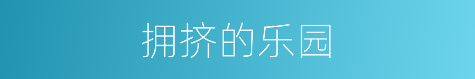 拥挤的乐园的同义词
