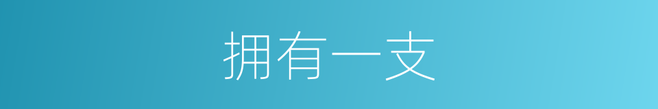 拥有一支的同义词
