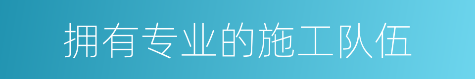 拥有专业的施工队伍的同义词