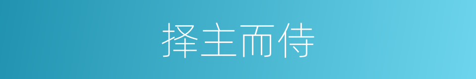 择主而侍的同义词