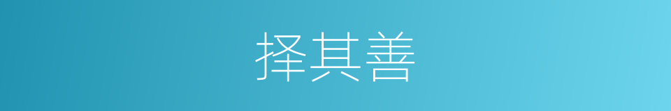 择其善的同义词