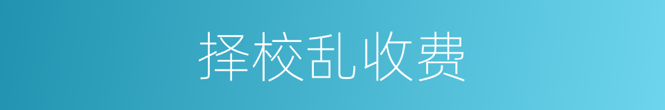 择校乱收费的同义词