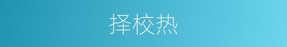 择校热的同义词