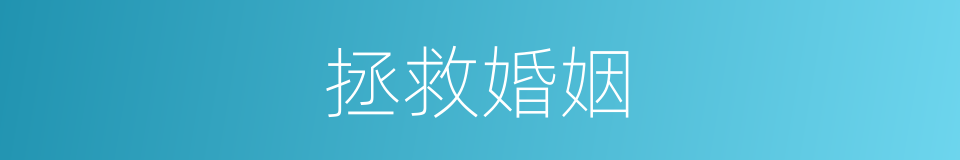 拯救婚姻的同义词