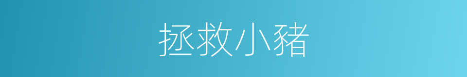 拯救小豬的同義詞