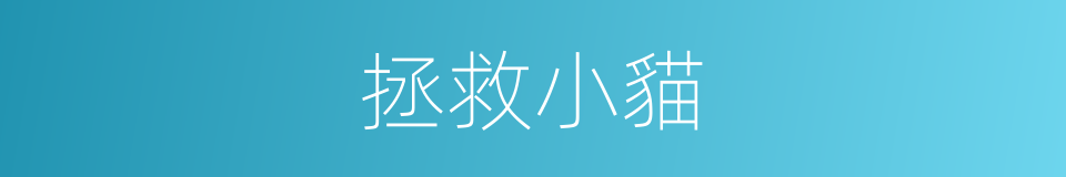 拯救小貓的同義詞