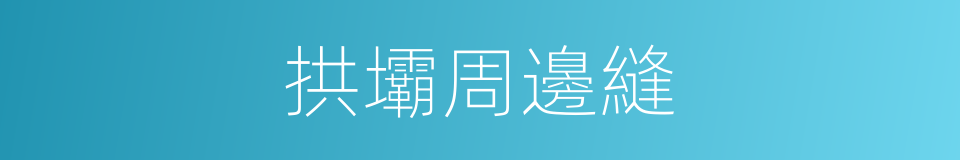 拱壩周邊縫的同義詞