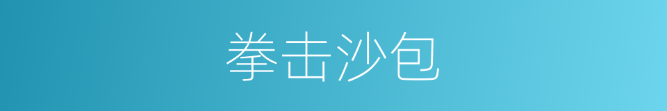 拳击沙包的意思
