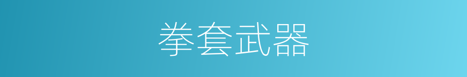拳套武器的同义词
