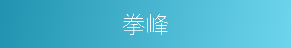 拳峰的同义词