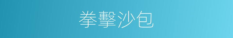 拳擊沙包的意思