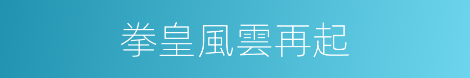 拳皇風雲再起的同義詞