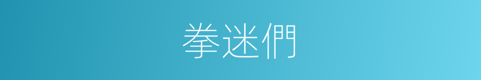 拳迷們的同義詞