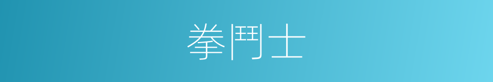 拳鬥士的同義詞