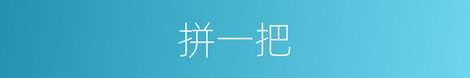拼一把的同义词