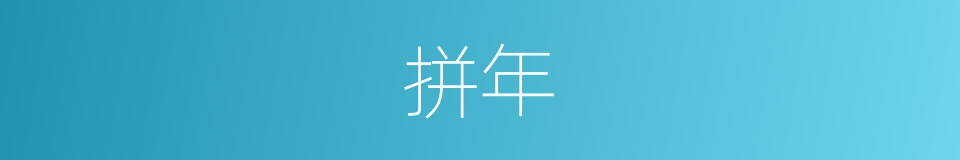 拼年的同义词