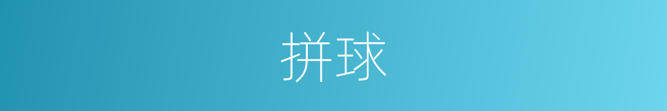 拼球的同义词