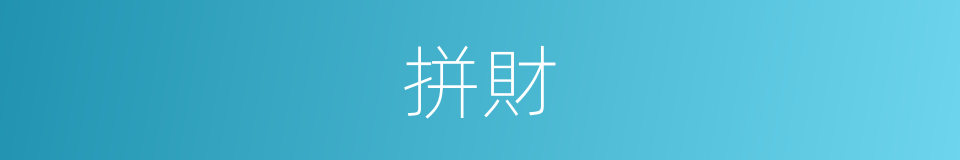 拼財的同義詞