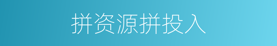 拼资源拼投入的同义词