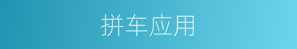 拼车应用的同义词