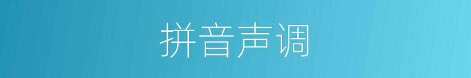 拼音声调的同义词