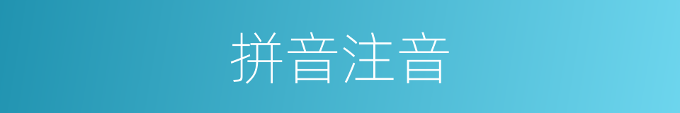 拼音注音的意思